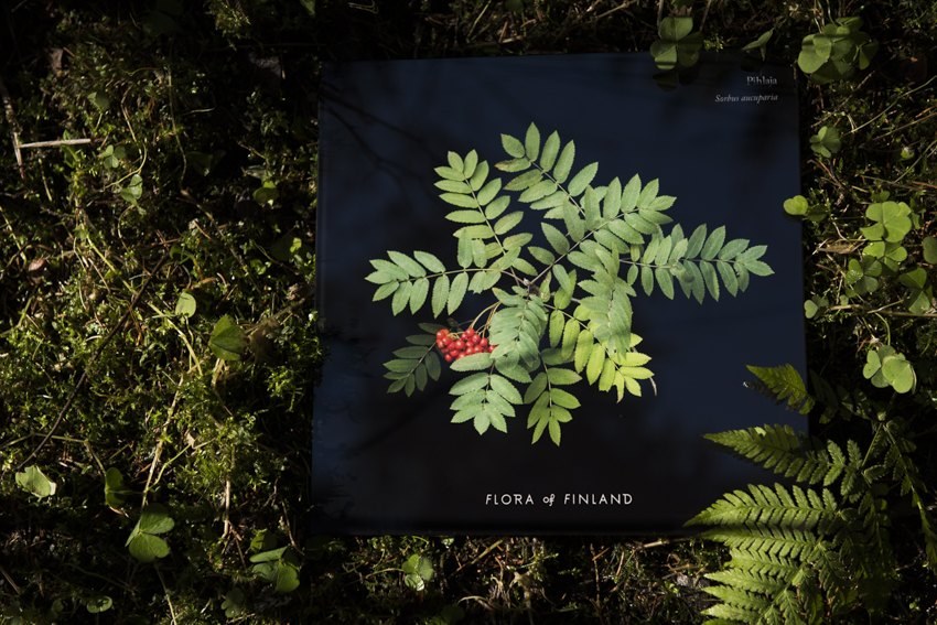 Laura Rautjoki — Flora of Finland brändimateriaali